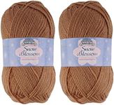 JubileeYarn Snow Blossom Yarn - DK Weight Wool - Barefoot Beach - 2 Skeins