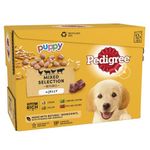 Pedigree Junior Wet Dog Food for Young Dogs and Puppies, 12 Pouches (12 x 100 g)