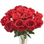 Avoik Artificial Flowers Rose Bouquet Black 50cm Fake Silk Flower Roses with Stem Realistic Rose Faux Flowers for Valentine‘s Wedding Party Halloween Home Decor Table Decoration, 12pcs (Red)