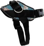 ShawnCo Essential Dog Harness, No-P