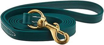 J&J Dog Supplies Biothane Dog Leash, 3/4" Wide by 6' Long, Hunter Green