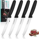 HAUSHOF Steak Knives Set of 4, Sharp Serrated Steak Knives, Premium Stainless Steel Steak Knife Set with Gift Box, Black Handle