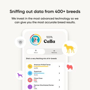 Embark Dog DNA Breed Test Kit – Accurate Canine Genetic Analysis