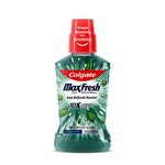 Colgate Maxfresh Plax Antibacterial Mouthwash, 24/7 Fresh Breath, Alcohol Free Mouth Wash Liquid for Bad Breath - 250ml Fresh Mint (Complete Oral Care)