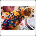 Kitty & The Woof Gang Beautiful Blue Denim Party Dress with Multicolored Floral Print and Mustard Color Bow and Collar | Dog, Cat Dress Small Medium Large Dog Female | Size L