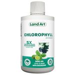 Liquid Chlorophyll Lime Basil 5X Concentrated 500ml – Cold Extracted from Non-GMO Alfalfa - Detox - Alkaline - Natural Body Deodorant – Antioxidant - Made in Canada