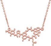 BAUNA Molecule Necklace Oxytocin Pendant Jewelry Chemistry Women Jewelry Love Hormone Gift Science Jewelry (RG Oxytocin)