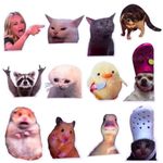 12PC Funny Meme Animals Fridge Magnets, Fun Cute Weird Magnetic Crying Cat Dog Hamster Duck Magnets for Gaming Kitchen Home Decor Bumper School Locker Work for Boys Girls Adult Accessories