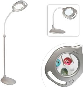 OttLite 2-