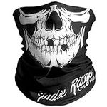 Indie Ridge Skull Face Mask - Motor