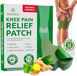 Pain Relief Patches | Warming Herba