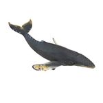 CollectA Humpback Whale