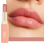 Oulac Nude Peach Lipstick - Moisture Shine Hydrating Lipstick & Tinted Lip Balm for Dry Lips, Medium Coverage Lip Colour | Juicy Look, Glossy Finish, Vegan, Cruelty-Free, Dolce Vita (13)