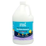 KINZUA ENVIRONMENTAL Urine B-Gone, Professional Enzyme Odor Eliminator & Pet Stain Remover, Human, Cat & Dog Urine Cleaner, Effective on Laundry, Carpets & More (3.79Liter (Pack of 1), Lavender)
