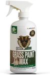 PetraMax Green Grass Paint for Lawn, Ready-to-Use Green Grass Lawn Spray & Dog Spot Repair, Lawn Paint, Spray on Grass, Green Lawn Spray, Green Grass Spray Paint for Lawn Yellow & Urine - 16 oz