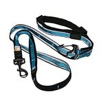 Kurgo Quantum 6-in-1 Dog Leash, Multi-Use Dog Lead for Walking & Running, Adjustable, Hands-Free Option, Coastal Blue