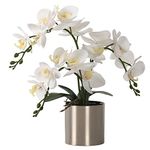 LESING Artificial Orchid Flower with Vase, White Orchid Bonsai Faux Orchid Phalaenopsis Plant Pot Arrangements for Home Decoration (White,Silver Vase)