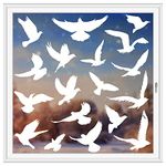 37Pcs Anti Collision Window Stickers for Birds,KOCOVIMI Window Decals for Bird Strikes,Save the Birds From Flying Into the Window,Warn the Birds and Save Birds Precious Lives