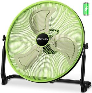ZIZIWIN 20