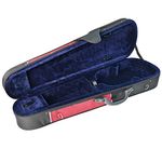 Violin With Cases