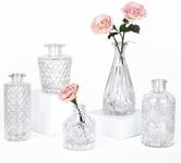 TBWIND Glass Bud Vase Set of 5, Small Clear Flower Vases for Centerpieces in Bulk, Mini Vintage Vase for Wedding Decor, Single Flowers, and Home Table Décor