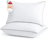 Sasttie Pillows Queen Size Set of 2