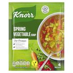 Knorr Florida Spring Vegetable Dry Packet Soup no artificial colours or preservatives soup mix suitable for vegans and vegetarians 48 g (Packaging may vary)