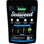 Garden Genie Seaweed Extract Granules for Plants 900 Gm | Organic Fertilizer and Growth Promoter for All Plants