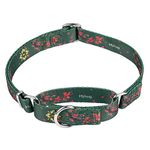 Hyhug Design, Choking (Martingale) Training Dog Collar to Prevent Escape. Comfortable and Adjustable, Strong, Hard-wearing, Durable (M 20mm, Green Plum Flower)