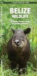 Belize Wildlife: A Folding Pocket Guide to Familiar Animals