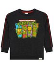 TEENAGE MUTANT NINJA Turtles Sweatshirt | Boys Pullover Sweater | Ninja Turtle Sweater for Boys | Gray 7