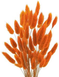 Uieke 17’’ Natural Bunny Tails Dried Flowers, 240 Pcs Dried Lagurus Ovatus, Dried Pampas Grass for Flower Arrangements Wedding Centerpieces Home Boho Baby Shower Party Fall Decorations (Orange)