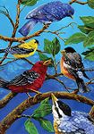 Toland Home Garden Birds on Blue 28 x 40-Inch Decorative USA-Produced House Flag