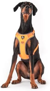 Heads Up For Tails Active Pet Dog Harness - Orange (L)|Premium No-Pull Adjustable Dog Harness For Small Dogs,Medium Dogs,And Puppies|Breathable,Strong & Durable Harness With Leash