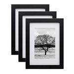 EGOFINE A5 Frames Black Set of 3,Wooden Photo Frames A5,14.8x21cm Picture Frames,A5 Poster Frames with Plexiglass for Tabletop and Wall Mounting