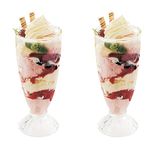 Royal Cuisine Set of 2 Dessert Cups 360ml Knickerbocker Glory Dessert Sundae Glasses Long Cocktail Glasses Dessert Bowls Fountain Glasses Milkshake Soda Glassware