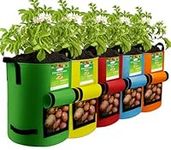 kopotma 5Packs Colorful Potato Grow