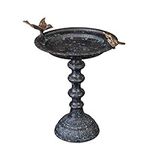 Evergreen Garden Cast Iron Bird Bath on Pedestal