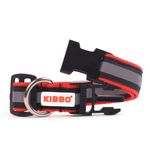 Kibbo Premium Reflective Dog Collar for Small to Large Dogs (Medium, Pack of 1)