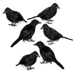 JOYIN 6 Packs Halloween Crow Decoration Set, Raven Decor Halloween Fake Crow Props for Desks, Trees, Walls, and Windows, Halloween Indoor Outdoor Party Decorations, Haunted House Decorations