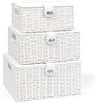 ARPAN Set of 3 Resin Woven Storage 
