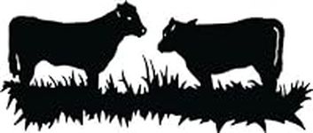2 Cows in The Grass Farm Animal Pic