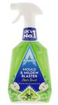 Astonish Mould & Mildew Remover Apple Burst, Clear, 750 ml