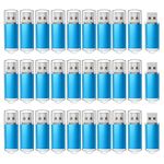 RAOYI 50 Pack 1GB 1G USB Flash Drive USB 2.0 Memory Stick Bulk Thumb Drive Pen Drive Jump Drive-Blue