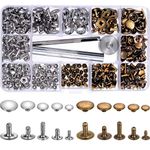 200 Set 5 Sizes Leather Rivets Single Cap Rivet Tubular Metal Studs with 3 Pieces Fixing Tool for DIY Leather Craft, Rivets Replacement, 2 Colors (Silver and Bronze)