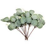 12 Pcs Eucalyptus Artificial Flowers, Plastic Eucalyptus Stem Leaves Branches, Decorative Faux Fake Green Eucalyptus Bouquets Foliages Plants for Wedding, Garden, Home, Outdoor Indoor Decoration