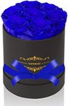 NATROSES Preserved Real Roses in a Box, Roses That Last Up to 3 Years, Long Lasting Roses Gifts for Her, Birthday Gifts for Women (Royal Blue)