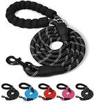 Dog Lead Leash