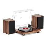 Record Player for Vinyl with Speake