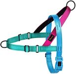 Didog No Pull Dog Harness with Soft